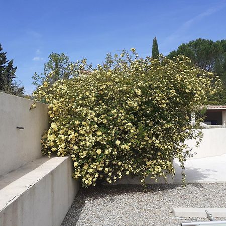 Chambres D'Hotes, B&B Climatisees La Borrellienne Saint-Maximin Exteriör bild